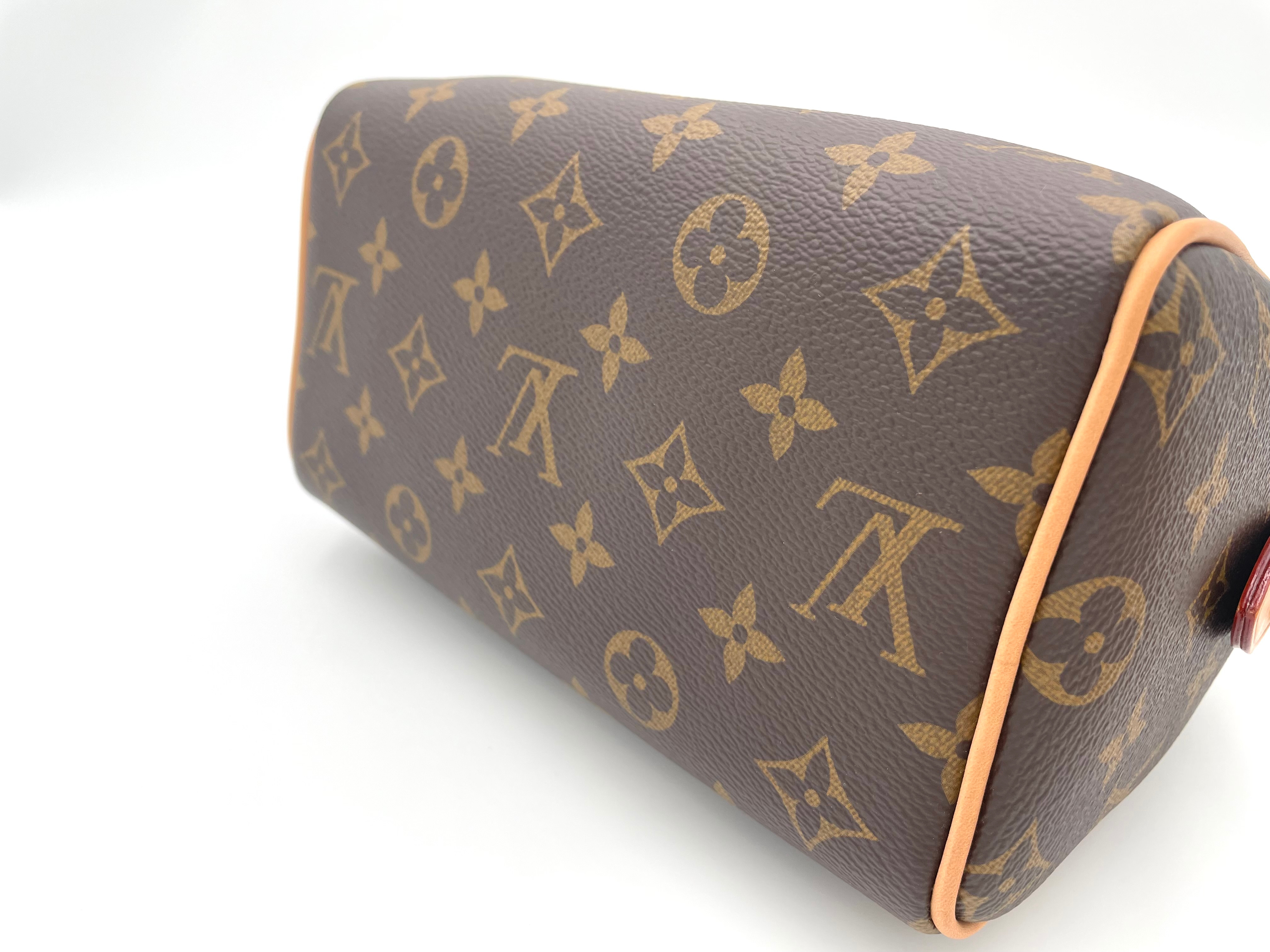 LOUIS VUITTON スピーディ バンドリエール20 ショルダーバッグ M45948