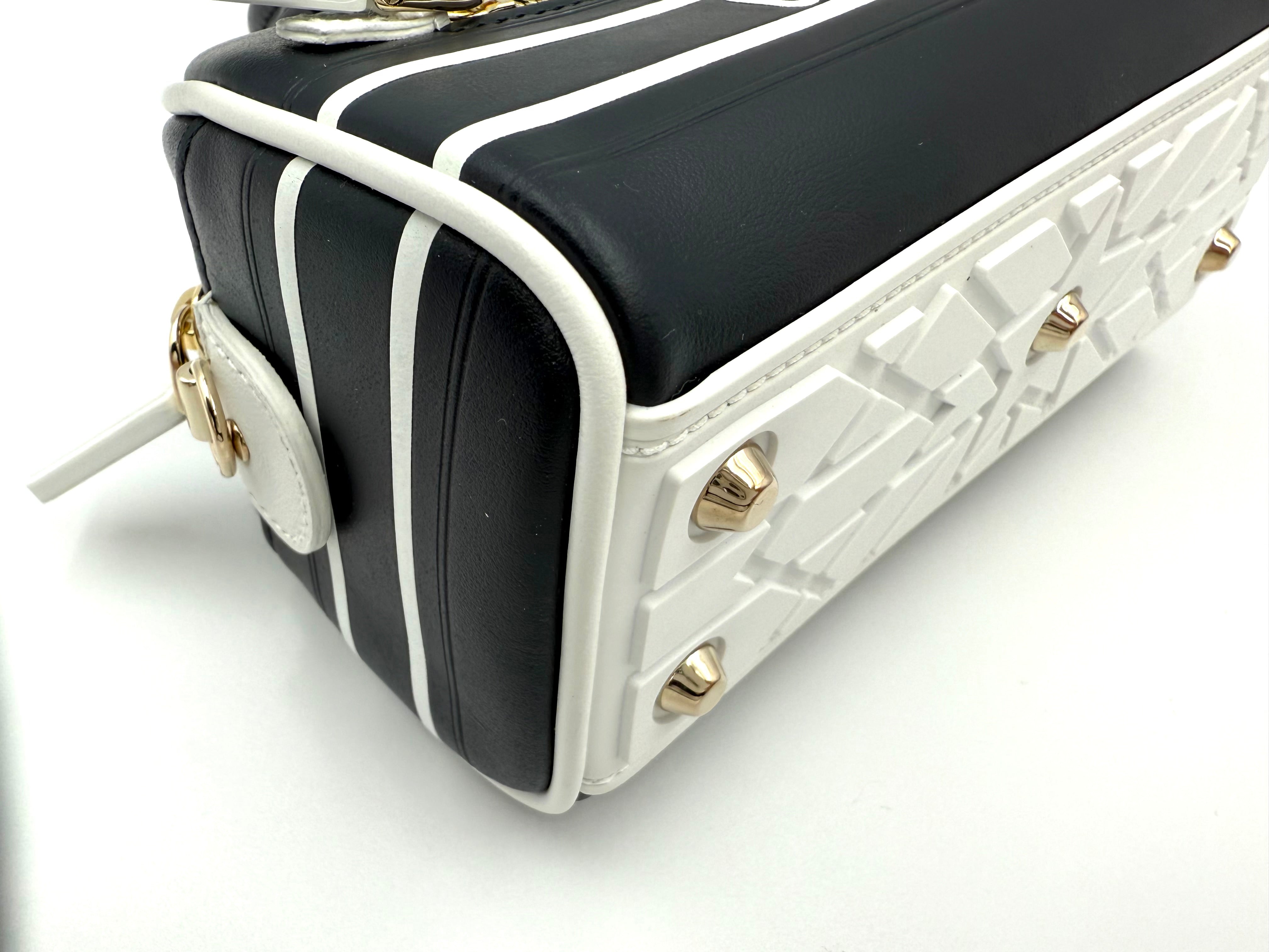 DIOR VIBE ボウリングバッグ
