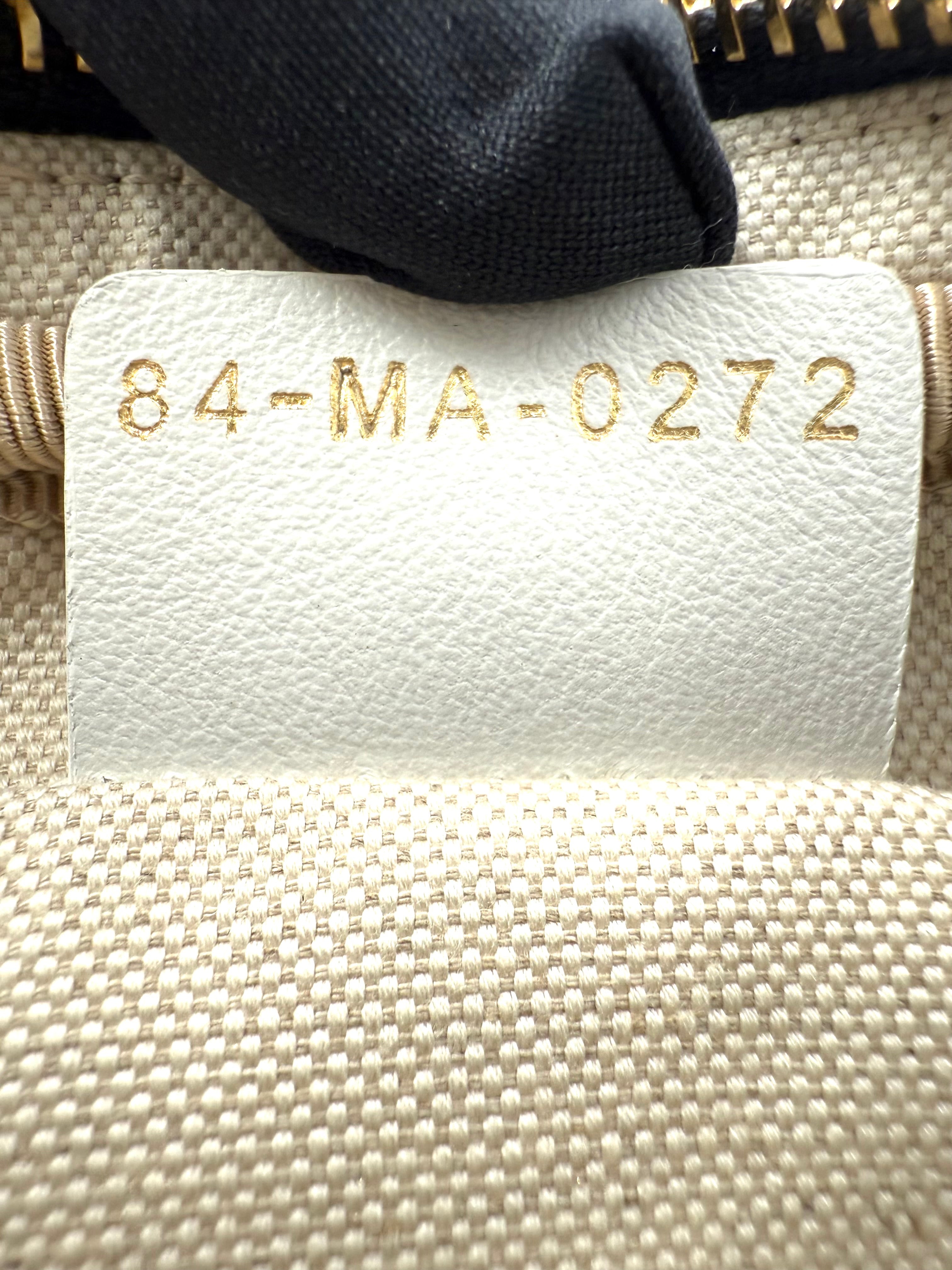 DIOR VIBE ボウリングバッグ