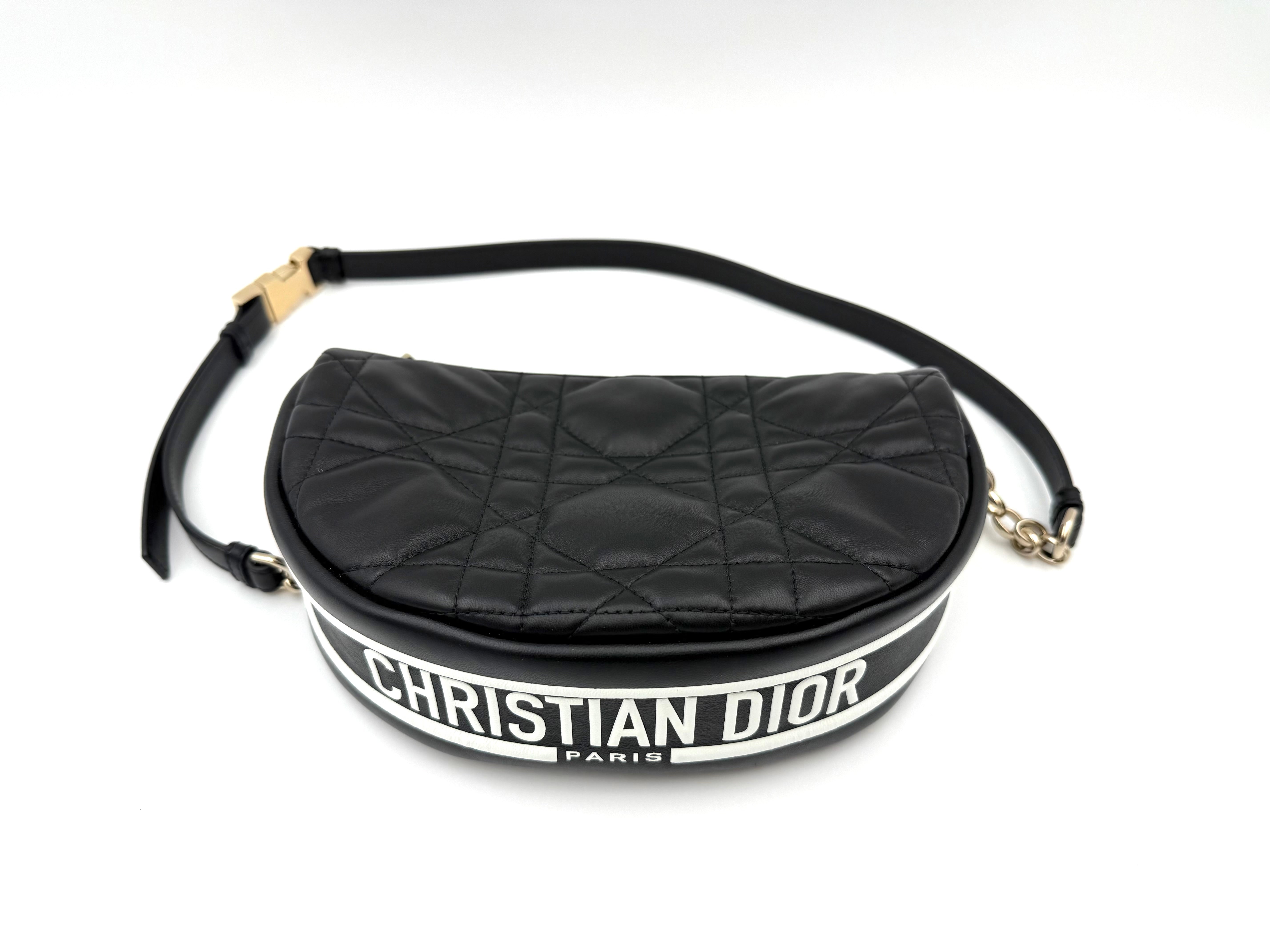 DIOR VIBE ホーボーバッグスモール