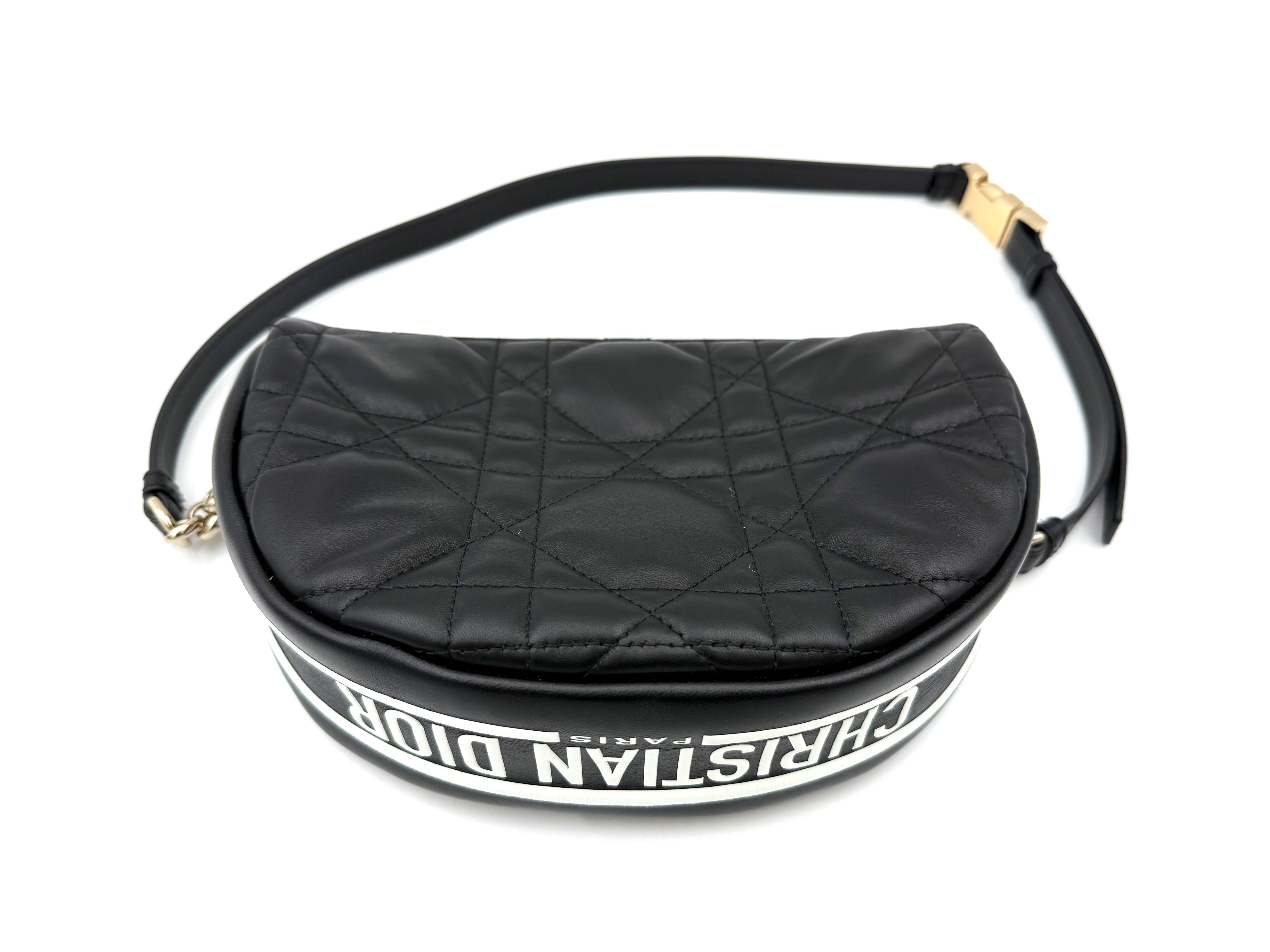 DIOR VIBE ホーボーバッグスモール